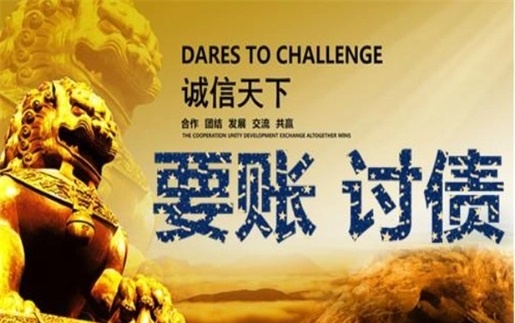 阜阳信贷风险化解：老司机亲测有效的司法催收与征信修复全攻略